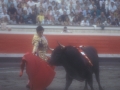 Toros en la plaza de Vista Alegre de Bilbao