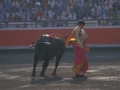 Toros en la plaza de Vista Alegre de Bilbao