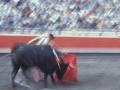 Toros en la plaza de Vista Alegre de Bilbao