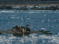 Regatas de traineras en Donostia-San Sebastián