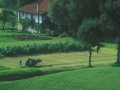 Landa paisaia.