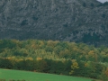 Nafarroako paisaia.