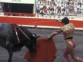 Toros en la plaza de Vista Alegre de Bilbao