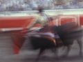 Toros en la plaza de Vista Alegre de Bilbao