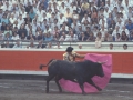 Toros en la plaza de Vista Alegre de Bilbao