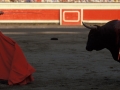 Toros en la plaza de Vista Alegre de Bilbao