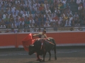 Toros en la plaza de Vista Alegre de Bilbao