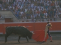 Toros en la plaza de Vista Alegre de Bilbao