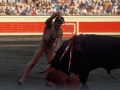 Toros en la plaza de Vista Alegre de Bilbao