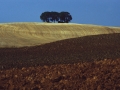 Lizarrako paisaia.