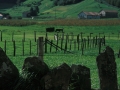Landa paisaia.