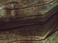 Abstraktua