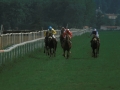 Carrera de caballos en el hipódromo de Lasarte