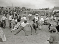 SUELTA DE VAQUILLAS EN UNA PLAZA DE TOROS PORTATIL DE HERNANI. (Foto 9/10)