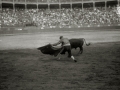 TARDE DE ESPECTACULO COMICO TAURINO EN LA PLAZA DE TOROS DE "EL TXOFRE". (Foto 1/13)