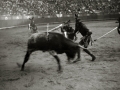 TARDE DE ESPECTACULO COMICO TAURINO EN LA PLAZA DE TOROS DE "EL TXOFRE". (Foto 3/13)