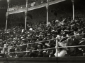 TARDE DE TOROS EN LA PLAZA DE "EL TXOFRE". (Foto 9/58)