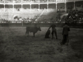 TARDE DE TOROS EN LA PLAZA DE "EL TXOFRE". (Foto 11/58)