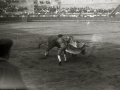 TARDE DE TOROS EN LA PLAZA DE "EL TXOFRE". (Foto 14/58)