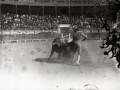 TARDE DE TOROS EN LA PLAZA DE "EL TXOFRE". (Foto 15/58)