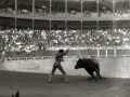 TARDE DE TOROS EN LA PLAZA DE "EL TXOFRE". (Foto 22/58)