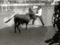 TARDE DE TOROS EN LA PLAZA DE "EL TXOFRE". (Foto 27/58)