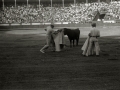 TARDE DE TOROS EN LA PLAZA DE "EL TXOFRE". (Foto 42/58)