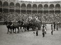 TARDE DE TOROS EN LA PLAZA DE "EL TXOFRE". (Foto 44/58)