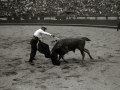 TARDE DE TOROS EN LA PLAZA DE "EL TXOFRE". (Foto 46/58)