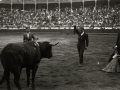 TARDE DE TOROS EN LA PLAZA DE "EL TXOFRE". (Foto 50/58)