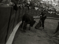 TARDE DE TOROS EN LA PLAZA DE "EL TXOFRE". (Foto 51/58)
