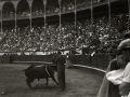 TARDE DE TOROS EN LA PLAZA DE "EL TXOFRE". (Foto 53/58)