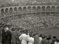 TARDE DE TOROS EN LA PLAZA DE "EL TXOFRE". (Foto 57/58)