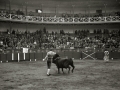 TARDE DE TOROS EN LA PLAZA DE TOROS DE TOLOSA. (Foto 2/15)