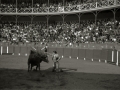 TARDE DE TOROS EN LA PLAZA DE TOROS DE TOLOSA. (Foto 3/15)