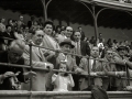 TARDE DE TOROS EN LA PLAZA DE TOROS DE TOLOSA. (Foto 5/15)