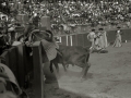 TARDE DE TOROS EN LA PLAZA DE TOROS DE TOLOSA. (Foto 6/15)