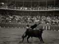 TARDE DE TOROS EN LA PLAZA DE TOROS DE TOLOSA. (Foto 9/15)