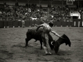 TARDE DE TOROS EN LA PLAZA DE TOROS DE TOLOSA. (Foto 10/15)