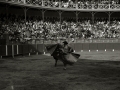 TARDE DE TOROS EN LA PLAZA DE TOROS DE TOLOSA. (Foto 12/15)