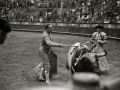 TARDE DE TOROS Y REJONEO EN LA PLAZA DE "EL TXOFRE". (Foto 8/22)