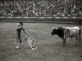 TARDE DE TOROS Y REJONEO EN LA PLAZA DE "EL TXOFRE". (Foto 14/22)