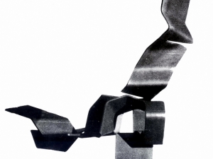 El Aleteo de la libertad - 1982