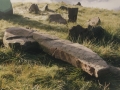Monumentu megalitikoa