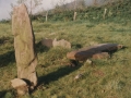 Monumentu megalitikoa