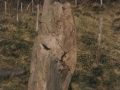Mulisko-gaineko harrespila