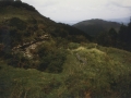 Mantaleko elurzuloa