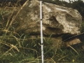 Legarraldeko artamugarria