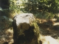 Olaberriagako artamugarria