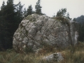 Sansonarria (Aballarri)